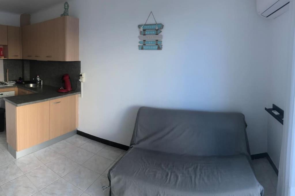 Appartement Situation Ideale F2, 2 Eme Ligne,climatise,